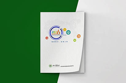 林甸县画册设计：以场景为媒，打造城市体验的全新入口